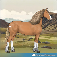 Horse Color:Chestnut Splash 