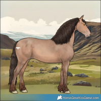 Horse Color:Amber Champagne 