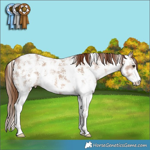 Horse Color:Red Dun Ice Sabino 