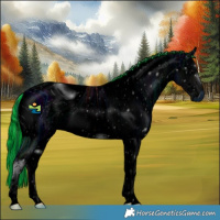 Horse Color:ERROR: UNKNOWN ANOMALY