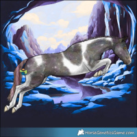 Horse Color:Painted Midnight Liver Red Dun Ice Tobiano 