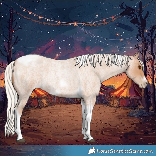 Horse Color:Silver Blue Roan Pearl Tobiano Frame 