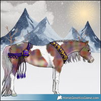 Horse Color:Nacre Silver Brown Tobiano