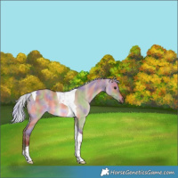 Horse Color:Nacre Silver Brown Dun Tobiano 