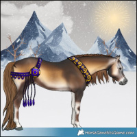 Horse Color:Gray Liver Red Onyx Rabicano 