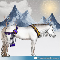 Horse Color:Gray Liver Red Onyx Rabicano