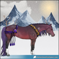 Horse Color:Painted Bay Tobiano Rabicano 