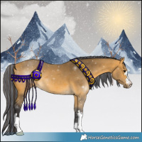 Horse Color:Painted Buckskin 