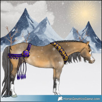 Horse Color:Painted Buckskin 