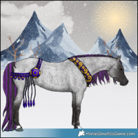 Horse Color:Painted Smoky Blue Roan 