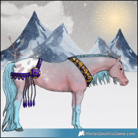 Horse Color:Watercolor Bay Appaloosa 