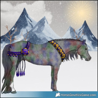 Horse Color:Nacre Black Sabino 