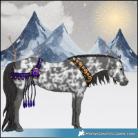 Horse Color:Smoky Black Ice 