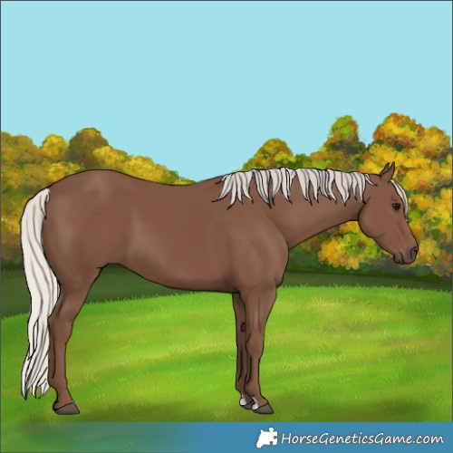 Horse Color:Silver Black 
