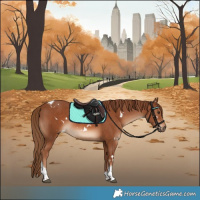 Horse Color:White Spotted Chestnut Tobiano 