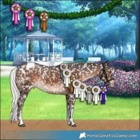Horse Color:White Spotted Silver Brown Sabino Appaloosa Rabicano 