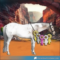 Horse Color:Brown Dun Tobiano Blanket Rabicano 