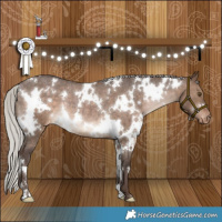 Horse Color:White Spotted Silver Brown Dun Appaloosa Rabicano