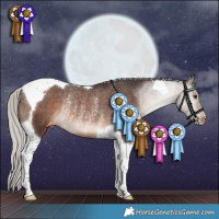 Horse Color:Silver Brown Tobiano Appaloosa Rabicano