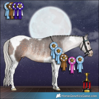 Horse Color:Silver Brown Tobiano Appaloosa Rabicano