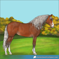 Horse Color:Silver Bay