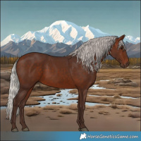 Horse Color:Silver Bay 