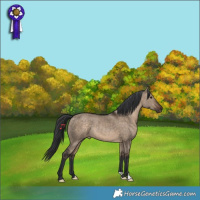 Horse Color:Brown Dun Rabicano 