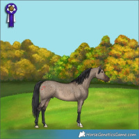 Horse Color:Brown Dun Rabicano 
