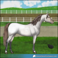 Horse Color:Bay Roan Dun Mushroom Snowcap Brindle 