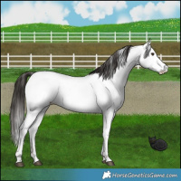 Horse Color:Liver Red Dun Fewspot Brindle 