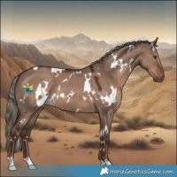 Horse Color:White Spotted Liver Red Dun Mushroom 