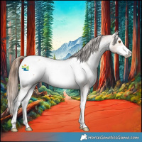 Horse Color:Bay Mushroom Sabino Appaloosa 