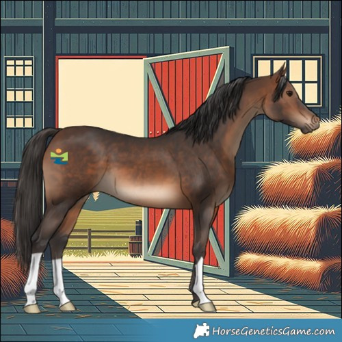 Horse Color:Brown 