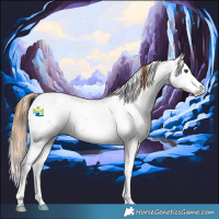 Horse Color:Chestnut Sabino 