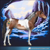 Horse Color:Brown Tobiano 