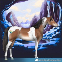 Horse Color:Bay Tobiano 