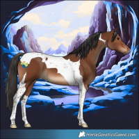 Horse Color:Brown Tobiano 