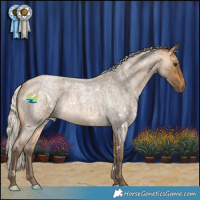 Horse Color:White Spotted Silver Buckskin Roan 