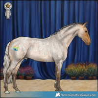 Horse Color:White Spotted Silver Buckskin Roan