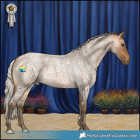 Horse Color:White Spotted Silver Buckskin Roan