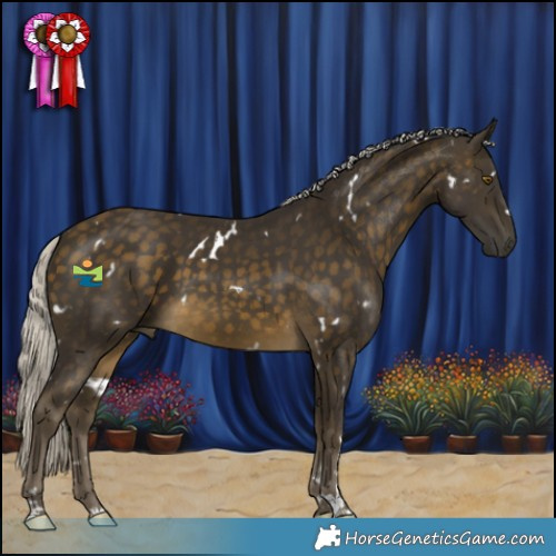 Horse Color:White Spotted Silver Buckskin 