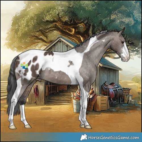 Horse Color:Brown Dun Sabino Tobiano Appaloosa Rabicano 