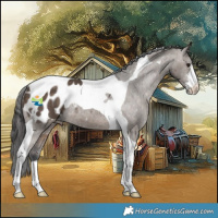 Horse Color:Brown Dun Sabino Tobiano Blanket Rabicano 