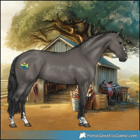 Horse Color:Grullo Rabicano 