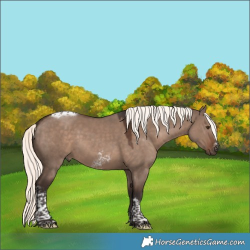 Horse Color:Liver Red Dun Mushroom Tobiano Frame Rabicano 