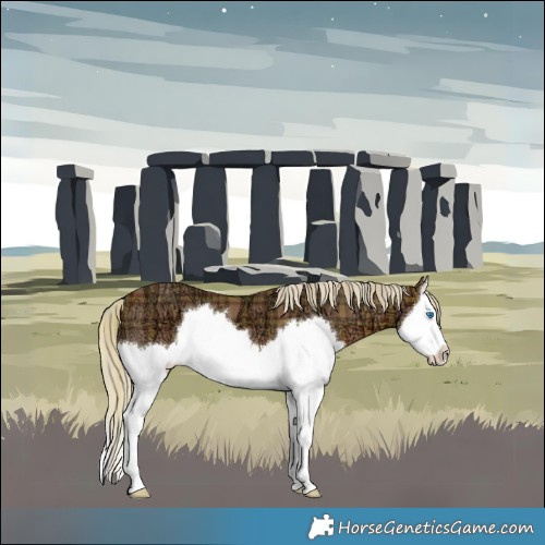 Horse Color:Plaid  Silver Brown Ice Splash 