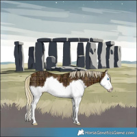 Horse Color:Plaid  Silver Brown Ice Splash 