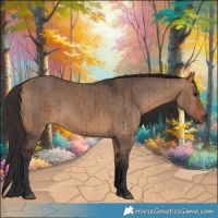 Horse Color:Bay Dun Brindle 