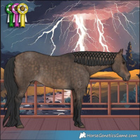 Horse Color:Bay Dun Brindle 