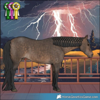 Horse Color:Bay Dun Brindle 